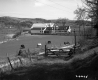 Horses by House