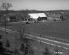 Horse Stables