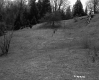 Slopes with Grass and Trees