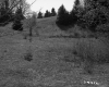 Slopes with Grass and Trees