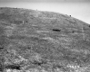 Hill with Grass and Wood Poles