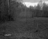 Wood Poles in Field