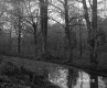 Water on Dirt Road
