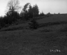 Grassy Slope