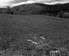 Field by Mountain