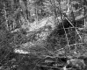 Branches over Stream