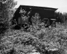 Wooden Shed