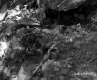 Small Creek