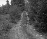 Dirt Road