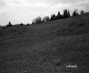 Grassy Hill