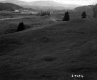 Grassy Hills