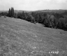 Grass Slope and Wooded Hills