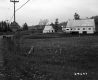 Field by Road