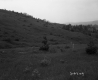 Grass Hill