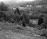 Trees on Slope