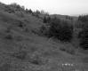 Grass Slope