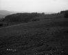 Grass on Slope