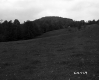 Grassy Hill