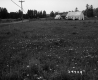 Field by Road