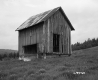 Wooden Shed