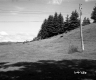 Slope and Trees