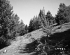 Dirt Road near Hill