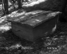 Concrete Structure in Forest