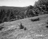 Hill and Mountains