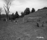 Wood Poles in Meadow