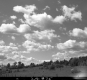Clouds over Field with Trees