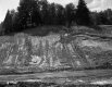 Slope by I-91 Construction