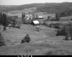 Trees and Houses on Hills