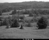 Trees on Hills