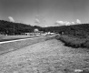Clearing By Paved Road