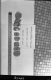 Core Samples and Ruler