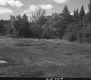 Cleaned Field