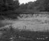 Dirt Area in Forest