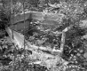 Concrete Box in Forest