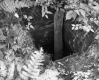 Wooden Plank in Well
