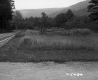 Field by Paved Road