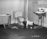 Bathroom in House