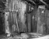 Shed on Rear of House