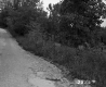 Guard Rails on Lime Kiln Road