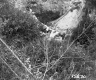 Steep Cliff by Lime Kiln Road