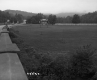 Grass Field by Bridge