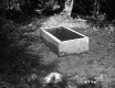 Watering Trough