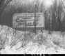 Cristy Drygas Billboard