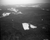 Aerial of Snow and Forest