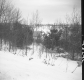 Slope with Snow and Trees