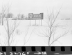 Shell Sign